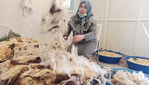 Üç yıl önce amatör olarak başladılar!