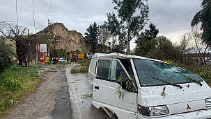 Devrilen ağaçlar araçlara zarar verdi 