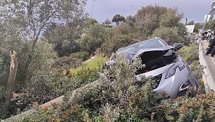 Ehliyetsiz sürücü şarampole uçtu! 