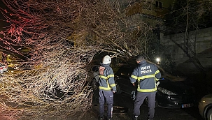 Fırtına araçlara zarar verdi! 