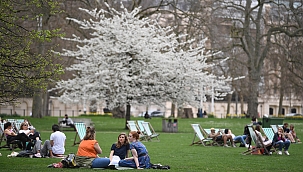 İngiltere'de 24 saatte 4 bin 52 vaka 