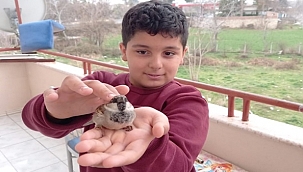 Isıttıktan sonra doğaya bıraktı!