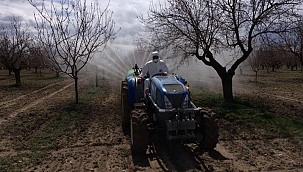 Kayısı üreticilerine zirai ilaç uyarısı 