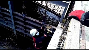 Korkuluklara sıkışan kediyi itfaiye kurtardı