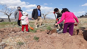 Köylüler kendi imkanlarıyla ağaç dikti 