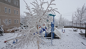 Meteorolojiden 5 il için zirai don uyarısı 