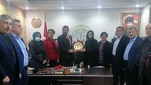 Muhtarlardan Akın'a plaket!