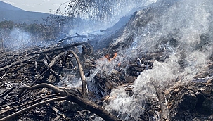 Örtü yangınında 10 dönüm alan etkilendi 