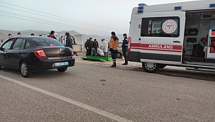 Otomobilde ölü bulundu!