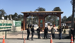 Silahla vurulan 2 kişi hayatını kaybetti