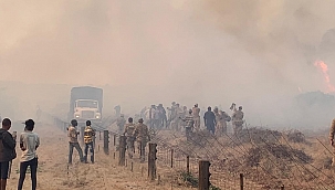 Tatbikatta 5 fil yanarak telef oldu!