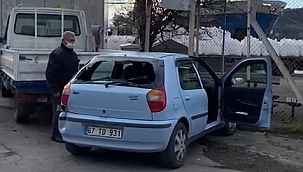 Tır park halindeki aracı biçti!