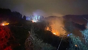 Ardeşen'de orman yangını! 