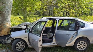 Cenazeye giderken ağaca çarptı