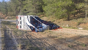 Domates yüklü kamyon devrildi 