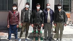 İstanbul diye Osmaniye'de indirdiler