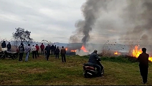 İznik Gölü kıyısında büyük yangın 