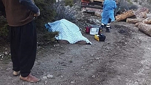 Kamyon ile ağaç arasına sıkıştı 