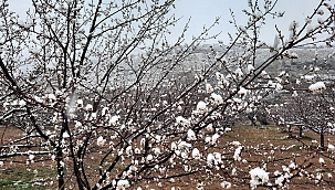 Kar yağışı üreticileri endişelendiriyor! 