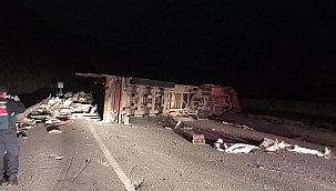 Kontrolden çıkan tır devrildi: 1 yaralı 