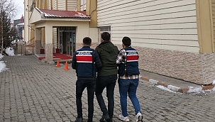 Köpeğe sopayla şiddete gözaltı!