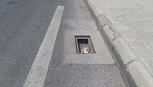 Lübnan'da ekonomik kriz derinleşiyor 