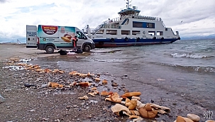 Sokak hayvanları unutulmuyor!