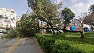 Meteorolojiden 4 il için fırtına uyarısı 