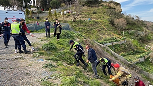 Otomobil 70 metreden aşağı uçtu!