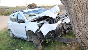 Otomobil ağaca çarptı: 2 yaralı 