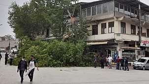 Park halindeki aracın üstüne devrildi