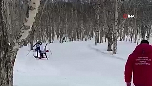 Rusya'da ağaca çarpan kayakçı öldü 