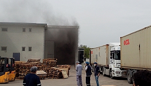 Tekirdağ'da fabrikada yangın çıktı 