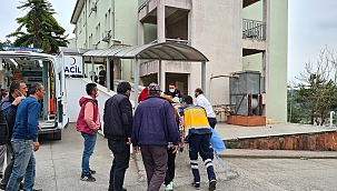 Üzerine tomruk düşen genç öldü 