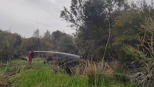 Yangında 2 dönüm alan zarar gördü