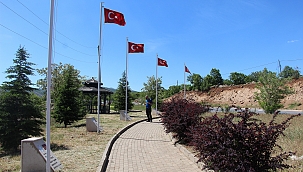 33 Mehmetçiğin şehit edilmesi olayı 