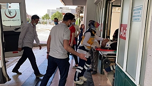 Ağaçtan düşen şahıs kurtarılamadı