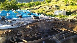 Ahır yangınında bir hayvan telef oldu 