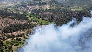 Balıkesir'de orman yangını!