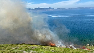 Bandırma'da arazi yangını! 