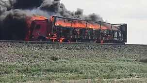 Beyaz eşya yüklü tır alev alev yandı 