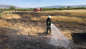 Bir yıllık emeği küle döndü! 