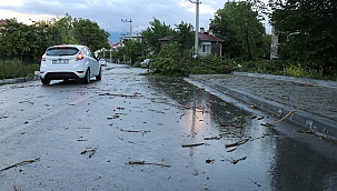 Şiddetli fırtına ağaçları devirdi 