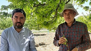 "Çiftçilerin zararları karşılanmalı"