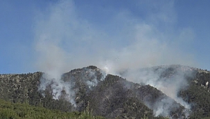 Çin'de helikopter düştü: 4 ölü 