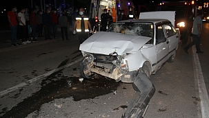 Cipe otomobil çarptı: 2 yaralı