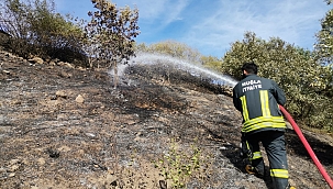 Dalaman'da zeytinlik yangını 