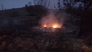 Datça'da makilik alanda yangın 