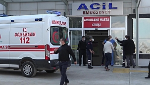 Gercüş'te 2 kişiyi yılan soktu! 