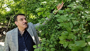 Hasar tespit çalışmaları başlıyor!